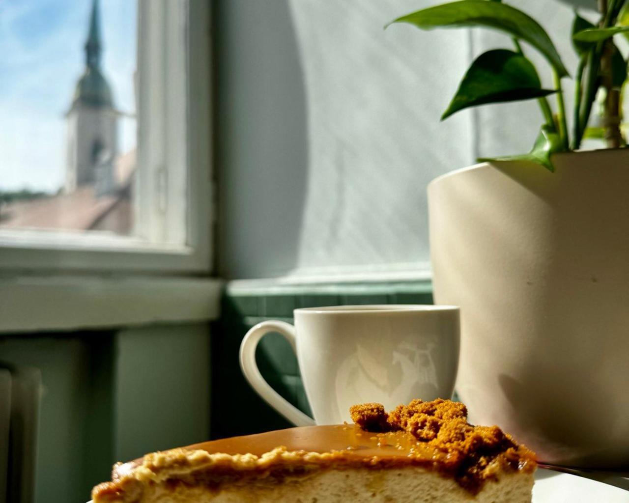 Extralarge Queen Room In The Heart Of Bratislava With Terrace Exteriér fotografie