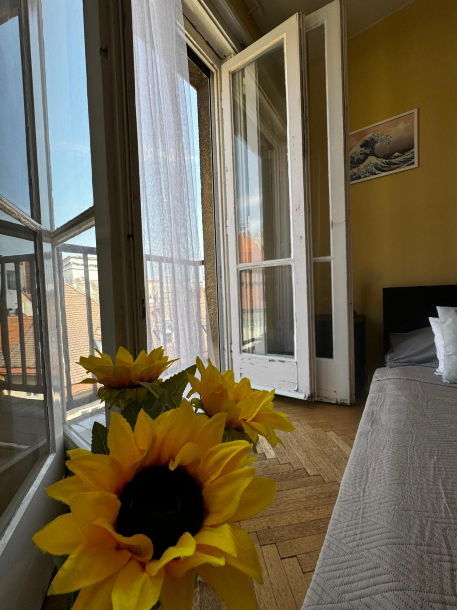 Extralarge Queen Room In The Heart Of Bratislava With Terrace Exteriér fotografie
